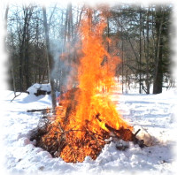 Burn pile surrounded by snow